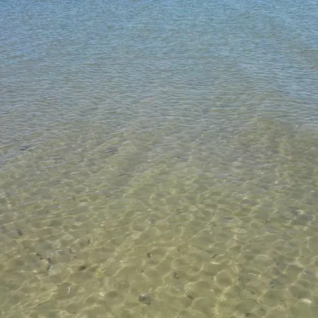 Adriatico 리도아드리